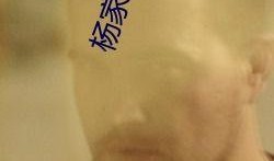 适合二人夫妻观看的视频,夫妻必看的温馨电影推荐